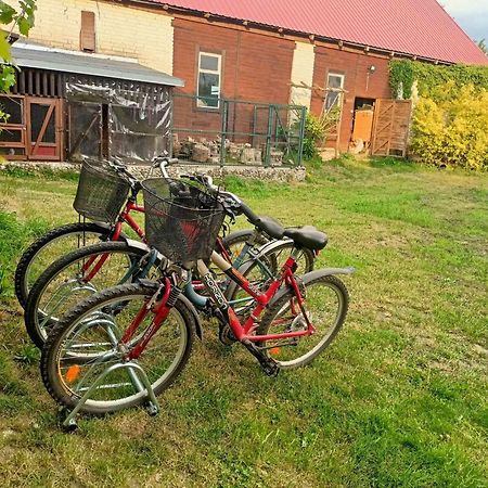 Malinowy Gaj - Agroturystyka Z Alpakami I Innymi Zwierzetami Swietajno (Szczytno) Exterior foto