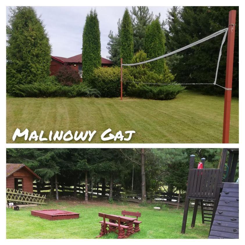 Malinowy Gaj - Agroturystyka Z Alpakami I Innymi Zwierzetami Swietajno (Szczytno) Exterior foto