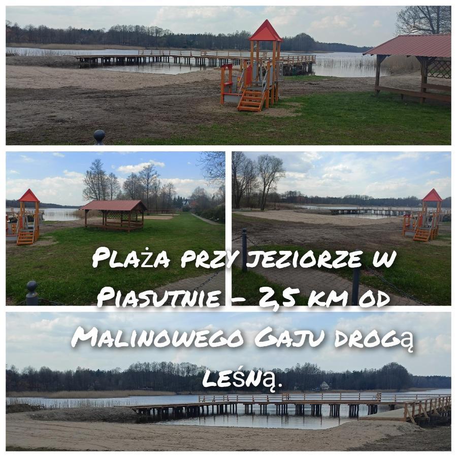 Malinowy Gaj - Agroturystyka Z Alpakami I Innymi Zwierzetami Swietajno (Szczytno) Exterior foto