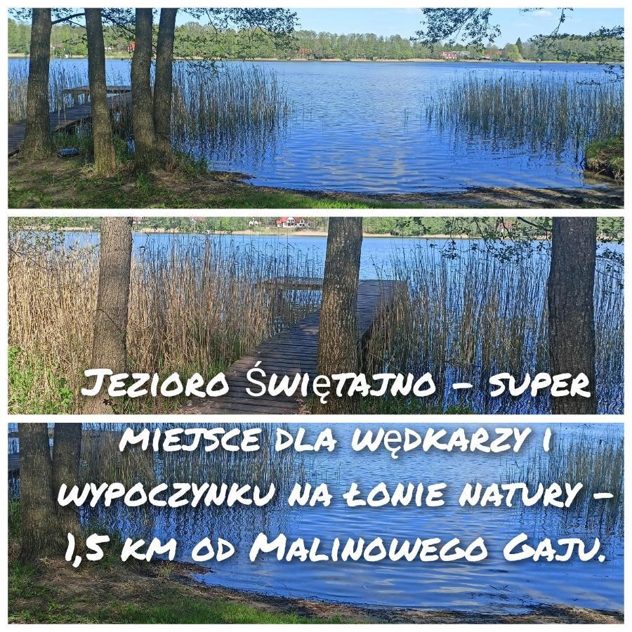 Malinowy Gaj - Agroturystyka Z Alpakami I Innymi Zwierzetami Swietajno (Szczytno) Exterior foto