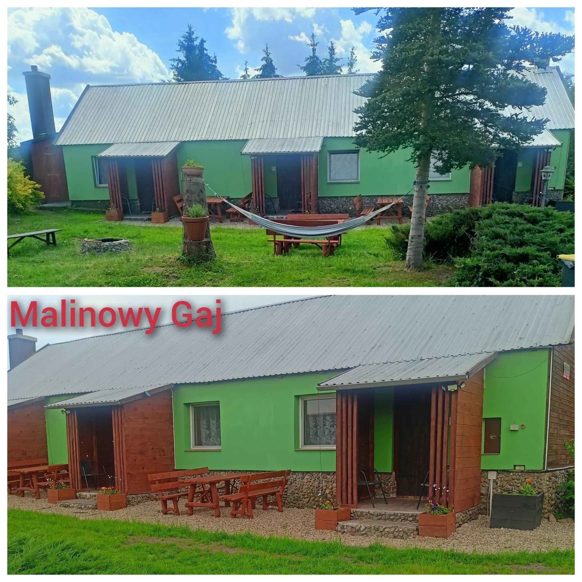 Malinowy Gaj - Agroturystyka Z Alpakami I Innymi Zwierzetami Swietajno (Szczytno) Exterior foto