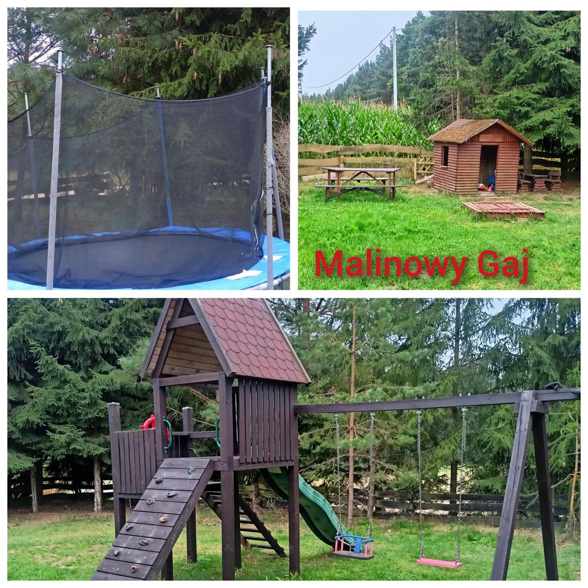 Malinowy Gaj - Agroturystyka Z Alpakami I Innymi Zwierzetami Swietajno (Szczytno) Exterior foto