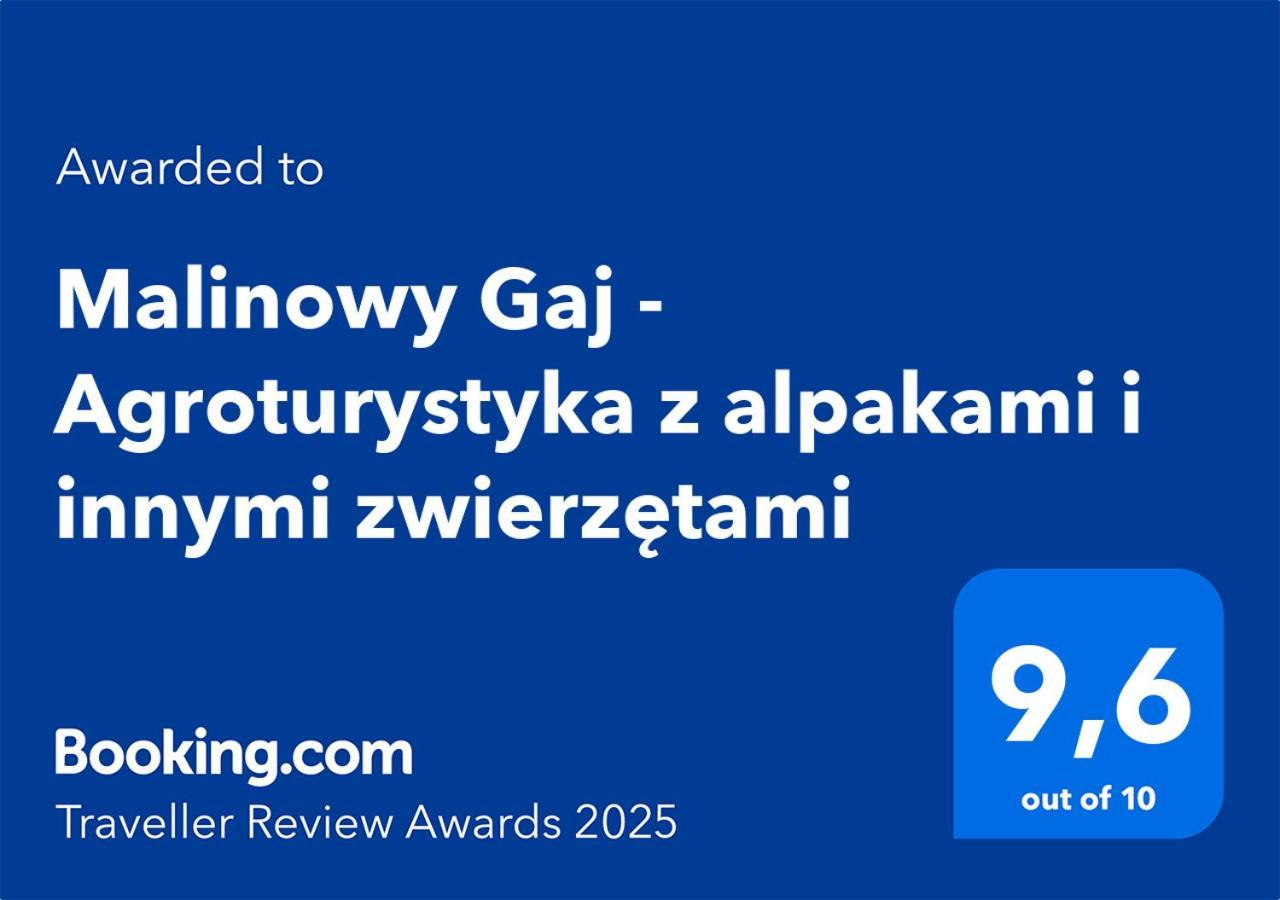 Malinowy Gaj - Agroturystyka Z Alpakami I Innymi Zwierzetami Swietajno (Szczytno) Exterior foto